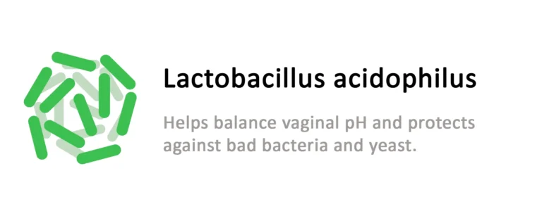 1-acidophilus-1.webp